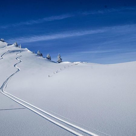 Berghotel Hahnenmoos Αντελμπόντεν Εξωτερικό φωτογραφία