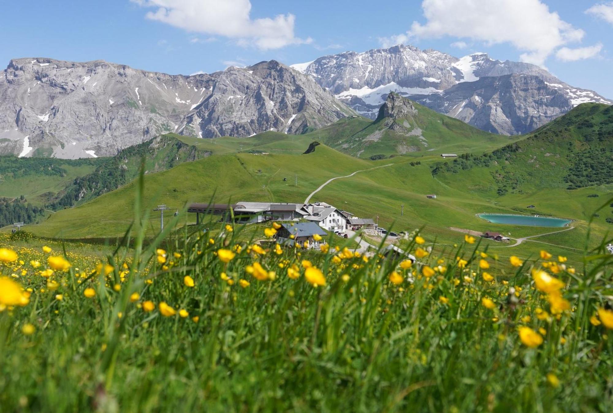 Berghotel Hahnenmoos Αντελμπόντεν Εξωτερικό φωτογραφία